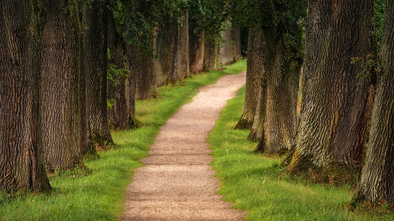 Trail Hiking